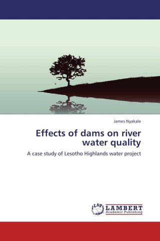 Effects of dams on river water quality