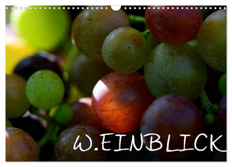 W.EINBLICK (Wandkalender 2026 DIN A3 quer), CALVENDO Monatskalender