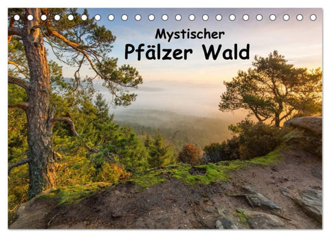 Mystischer Pfälzer Wald (Tischkalender 2026 DIN A5 quer), CALVENDO Monatskalender