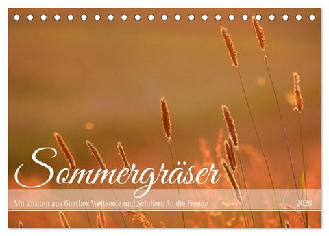 Sommergräser (Tischkalender 2026 DIN A5 quer), CALVENDO Monatskalender