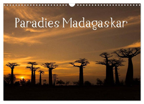 Paradies Madagaskar (Wandkalender 2026 DIN A3 quer), CALVENDO Monatskalender