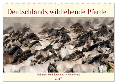Deutschlands wildlebende Pferde (Wandkalender 2027 DIN A2 quer), CALVENDO Monatskalender