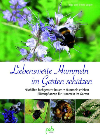 Liebenswerte Hummeln im Garten schützen