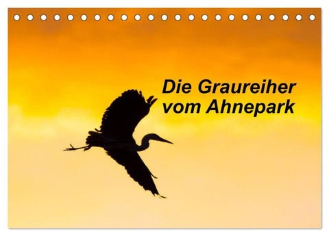 Die Graureiher vom Ahnepark (Tischkalender 2027 DIN A5 quer), CALVENDO Monatskalender