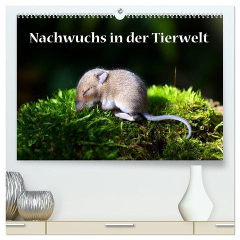 Nachwuchs in der Tierwelt (hochwertiger Premium Wandkalender 2026 DIN A2 quer), Kunstdruck in Hochglanz