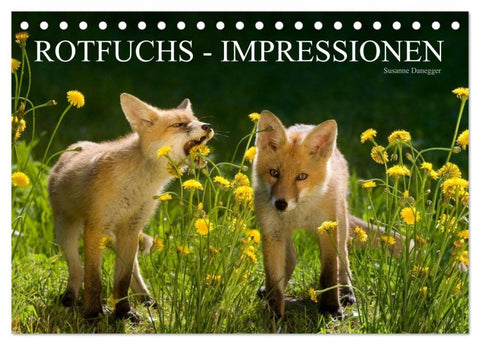 Rotfuchs - Impressionen (Tischkalender 2026 DIN A5 quer), CALVENDO Monatskalender