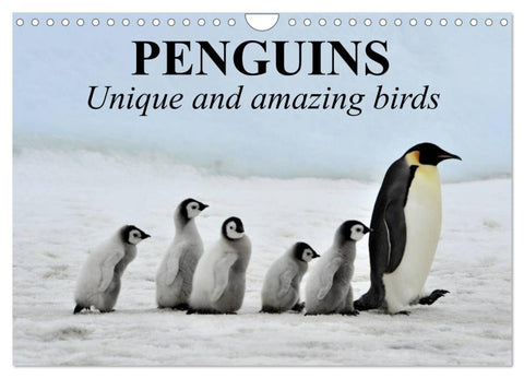 Penguins Unique and amazing birds (Wall Calendar 2026 DIN A4 landscape), CALVENDO 12 Month Wall Calendar