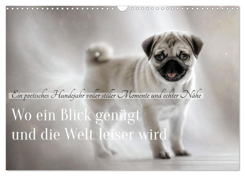 Wo ein Blick genügt und die Welt leiser wird (Wandkalender 2027 DIN A3 quer), CALVENDO Monatskalender