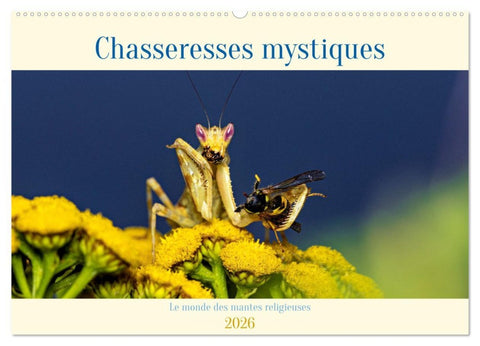 Chasseresses mystiques (Calendrier mural 2026 DIN A2 vertical), CALVENDO calendrier mensuel