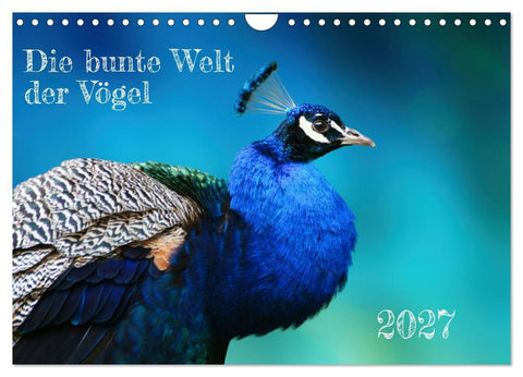 Die bunte Welt der Vögel (Wandkalender 2027 DIN A4 quer), CALVENDO Monatskalender