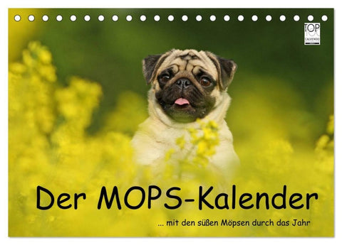 Der MOPS-Kalender (Tischkalender 2027 DIN A5 quer), CALVENDO Monatskalender