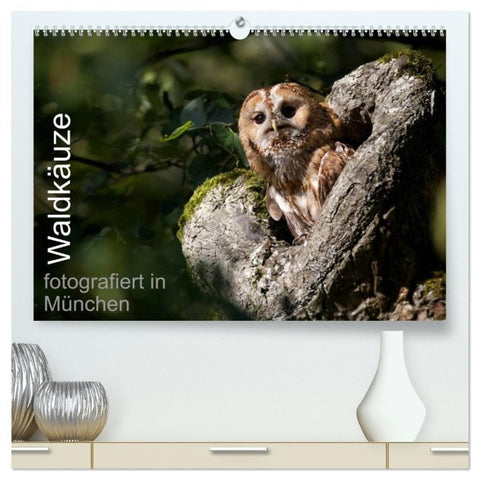 Waldkäuze, fotografiert in München (hochwertiger Premium Wandkalender 2026 DIN A2 quer), Kunstdruck in Hochglanz