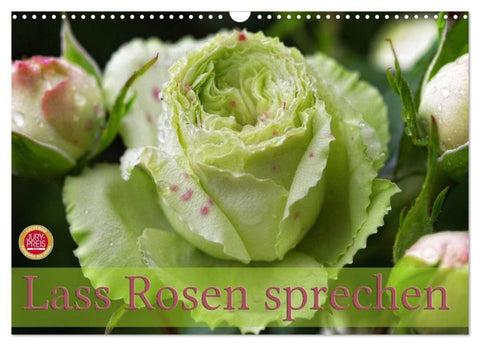 Lass Rosen sprechen (Wandkalender 2027 DIN A3 quer), CALVENDO Monatskalender