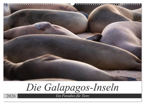 Galapagos-Inseln - Ein Paradies für Tiere (Wandkalender 2026 DIN A2 quer), CALVENDO Monatskalender
