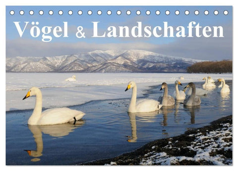 Vögel & Landschaften (Tischkalender 2027 DIN A5 quer), CALVENDO Monatskalender