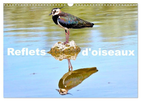 Reflets d'oiseaux (Calendrier mural 2027 DIN A3 vertical), CALVENDO calendrier mensuel