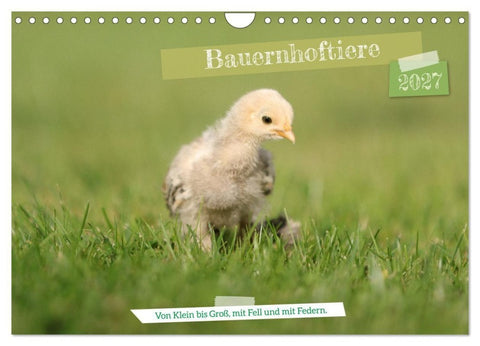 Bauernhoftiere - Von Klein bis Groß, mit Fell und mit Federn. (Wandkalender 2027 DIN A4 quer), CALVENDO Monatskalender