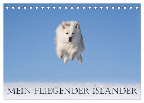Mein fliegender Isländer (Tischkalender 2027 DIN A5 quer), CALVENDO Monatskalender