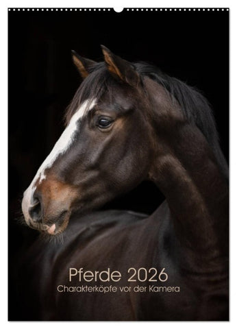 Pferde 2026 - Charakterköpfe vor der Kamera (Wandkalender 2026 DIN A2 hoch), CALVENDO Monatskalender