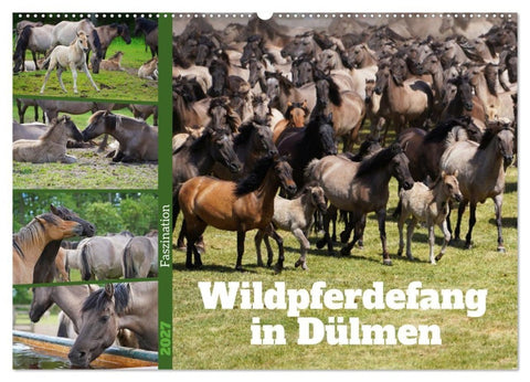 Faszination Wildpferdefang in Dülmen (Wandkalender 2027 DIN A2 quer), CALVENDO Monatskalender
