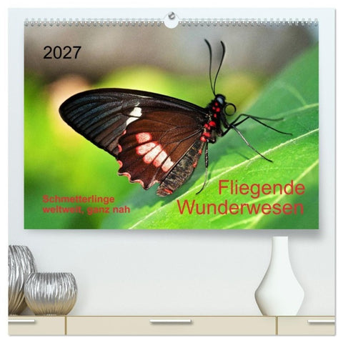 Fliegende Wunderwesen. Schmetterlinge weltweit, ganz nah (hochwertiger Premium Wandkalender 2027 DIN A2 quer), Kunstdruck in Hochglanz