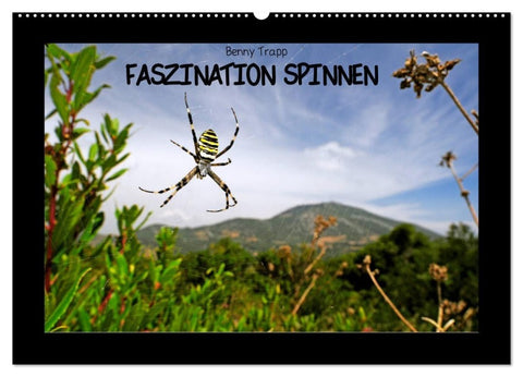 Faszination Spinnen (Wandkalender 2027 DIN A2 quer), CALVENDO Monatskalender