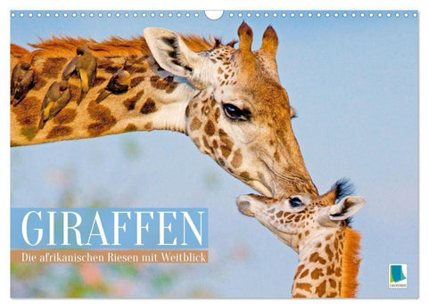Giraffen: Die afrikanischen Riesen mit Weitblick (Wandkalender 2027 DIN A3 quer), CALVENDO Monatskalender