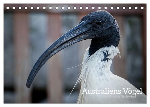 Australiens Vögel (Tischkalender 2027 DIN A5 quer), CALVENDO Monatskalender