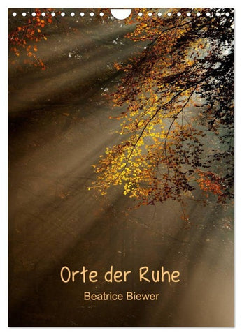 Orte der Ruhe (Wandkalender 2027 DIN A4 hoch), CALVENDO Monatskalender