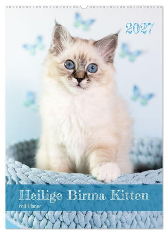 Heilige Birma Kitten Kalender mit Planer (Wandkalender 2027 DIN A2 hoch), CALVENDO Monatskalender