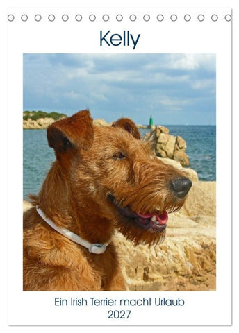 Kelly - Ein Irish Terrier macht Urlaub (Tischkalender 2027 DIN A5 hoch), CALVENDO Monatskalender