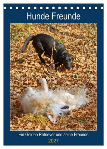 Hunde Freunde (Tischkalender 2027 DIN A5 hoch), CALVENDO Monatskalender