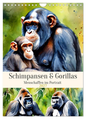 Schimpansen & Gorillas (Wandkalender 2027 DIN A4 hoch), CALVENDO Monatskalender
