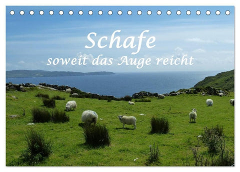 Schafe - soweit das Auge reicht (Tischkalender 2027 DIN A5 quer), CALVENDO Monatskalender