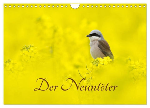Der Neuntöter (Wandkalender 2027 DIN A4 quer), CALVENDO Monatskalender