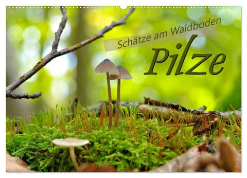 Pilze - Schätze am Waldboden (Wandkalender 2027 DIN A2 quer), CALVENDO Monatskalender