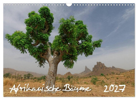Afrikanische Bäume (Wandkalender 2027 DIN A3 quer), CALVENDO Monatskalender