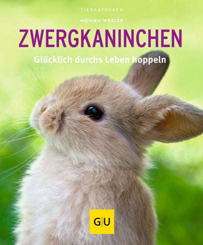 Zwergkaninchen