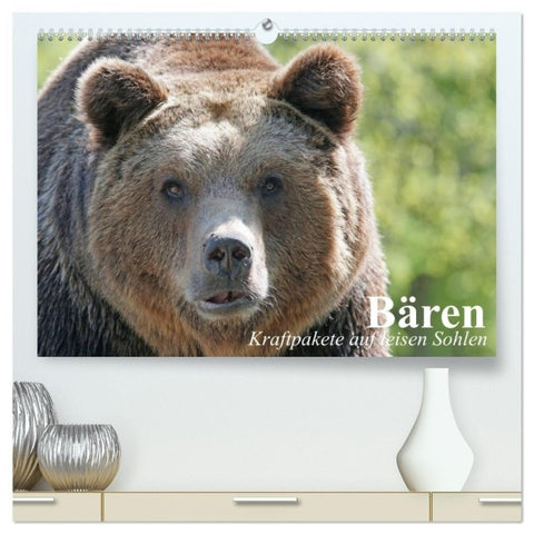 Bären. Kraftpakete auf leisen Sohlen (hochwertiger Premium Wandkalender 2027 DIN A2 quer), Kunstdruck in Hochglanz