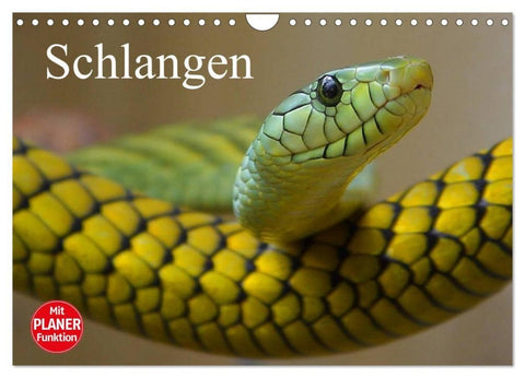 Schlangen (Wandkalender 2027 DIN A4 quer), CALVENDO Monatskalender