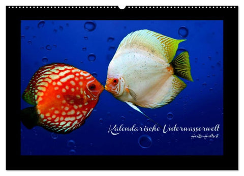 Kalendarische Unterwasserwelt (Wandkalender 2026 DIN A2 quer), CALVENDO Monatskalender