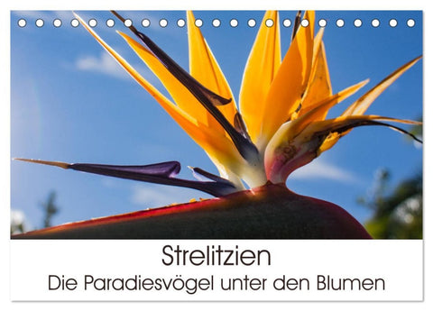 Strelitzien - die Paradiesvögel unter den Blumen (Tischkalender 2026 DIN A5 quer), CALVENDO Monatskalender