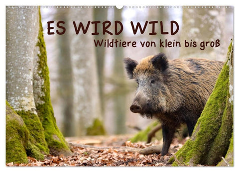 ES WIRD WILD Wildtiere von klein bis groß (Wandkalender 2027 DIN A2 quer), CALVENDO Monatskalender
