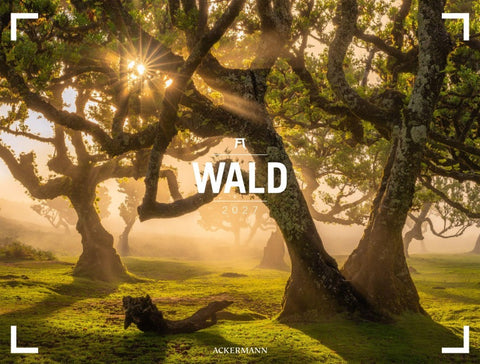 Wald Gallery Kalender 2027