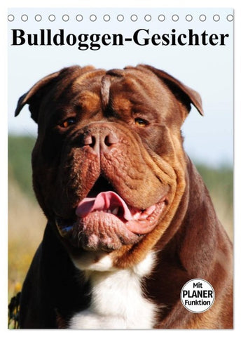 Bulldoggen-Gesichter (Tischkalender 2027 DIN A5 hoch), CALVENDO Monatskalender