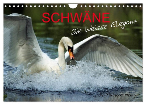 SCHWÄNE. (Wandkalender 2026 DIN A4 quer), CALVENDO Monatskalender
