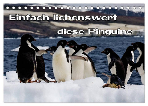 Einfach liebenswert diese Pinguine (Tischkalender 2027 DIN A5 quer), CALVENDO Monatskalender