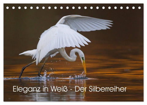 Eleganz in Weiß - Der Silberreiher (Tischkalender 2027 DIN A5 quer), CALVENDO Monatskalender