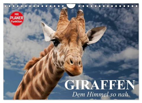 Giraffen. Dem Himmel so nah (Wandkalender 2027 DIN A4 quer), CALVENDO Monatskalender