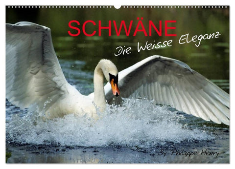 SCHWÄNE. (Wandkalender 2026 DIN A2 quer), CALVENDO Monatskalender